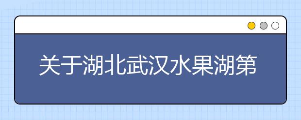 关于湖北武汉水果湖第二中学1月16日场次雅思考试考场变更的通知