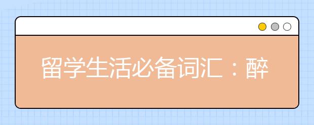 留学生活必备词汇：醉酒相关