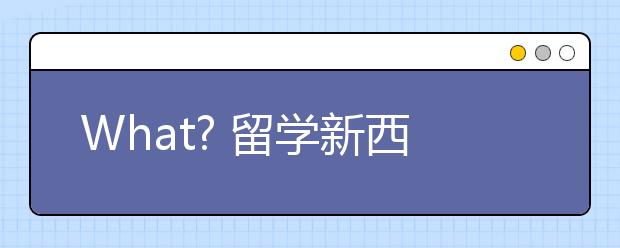 What? 留学新西兰不需要雅思英语成绩?