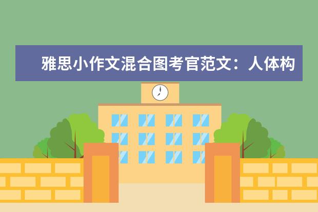 雅思小作文混合图考官范文:人体构造