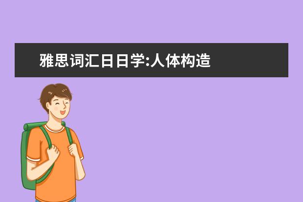 雅思词汇日日学:人体构造