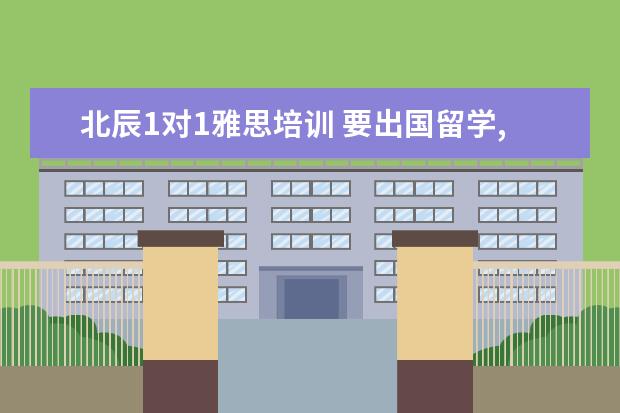北辰1对1雅思培训 要出国留学,经国家授权的较好的中介机构有哪些? - ...