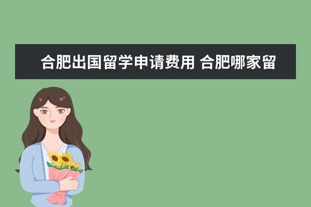 合肥出国留学申请费用 合肥哪家留学机构好?