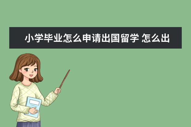 小学毕业怎么申请出国留学 怎么出国留学