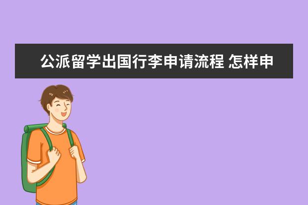 公派留学出国行李申请流程 怎样申请公派出国留学