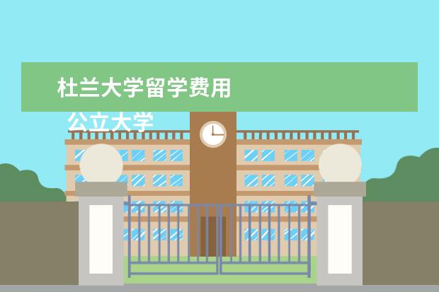 杜兰大学留学费用 
  公立大学