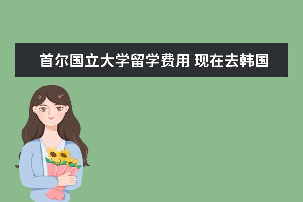 首尔国立大学留学费用 现在去韩国留学费用一年多少?请专业人士帮忙回答一...