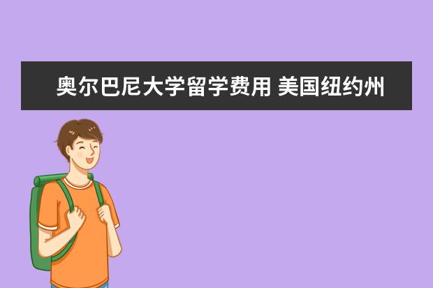 奥尔巴尼大学留学费用 美国纽约州立大学留学费用多少