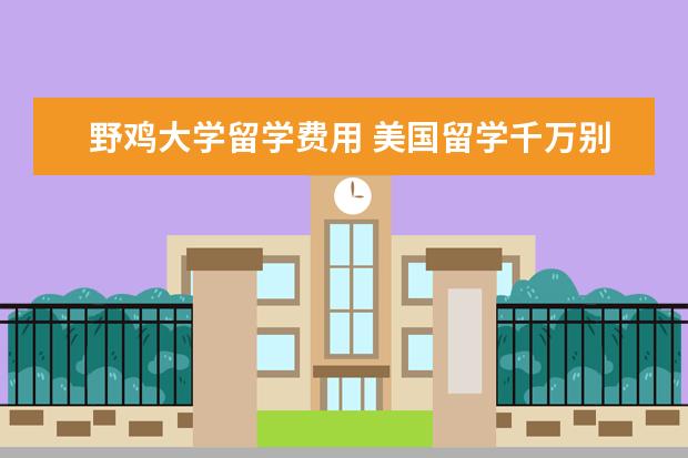野鸡大学留学费用 美国留学千万别进野鸡大学