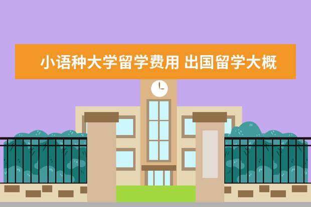 小语种大学留学费用 出国留学大概费用多少钱一年