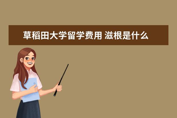 草稻田大学留学费用 滋根是什么