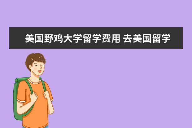 美国野鸡大学留学费用 去美国留学难不难?