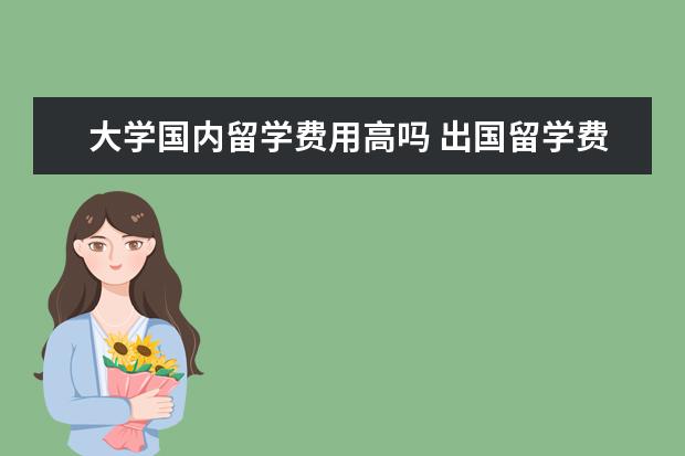 大学国内留学费用高吗 出国留学费用高吗