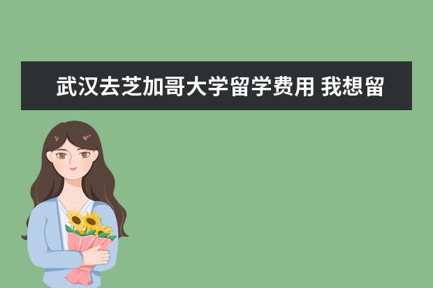 武汉去芝加哥大学留学费用 我想留学加拿大,(读大学)选什模专业好呢?