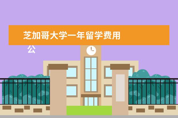 芝加哥大学一年留学费用 
  公立大学