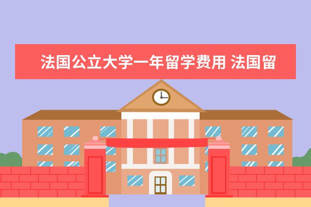 法国公立大学一年留学费用 法国留学一年所需的费用是多少