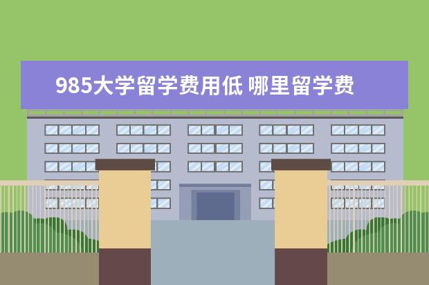 985大学留学费用低 哪里留学费用低并且国家好
