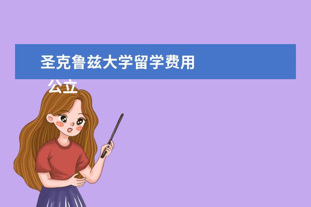 圣克鲁兹大学留学费用 
  公立大学