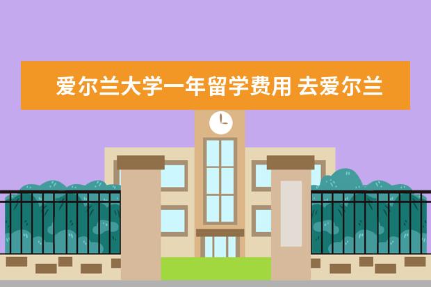 爱尔兰大学一年留学费用 去爱尔兰留学一年费用是多少