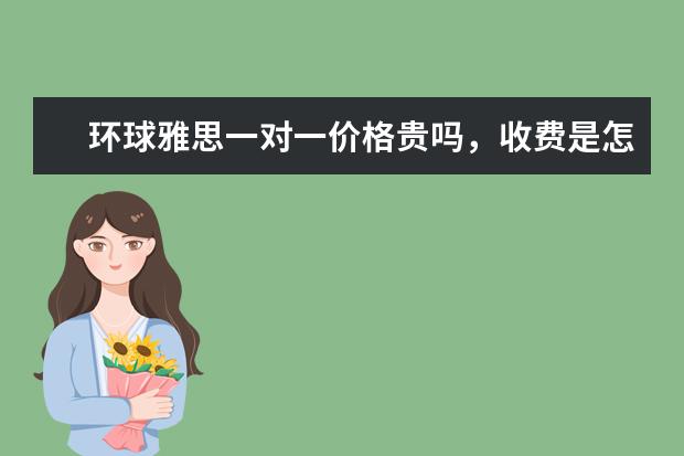 环球雅思一对一价格贵吗,收费是怎么算的