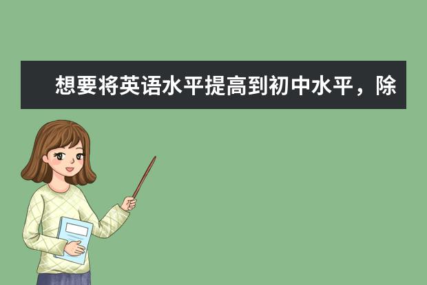 想要将英语水平提高到初中水平,除了单词,还需要学习哪些?(换句话说,就是能完全看懂小学的全部英语,