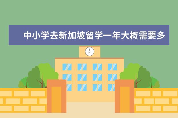 中小学去新加坡留学一年大概需要多少费用？